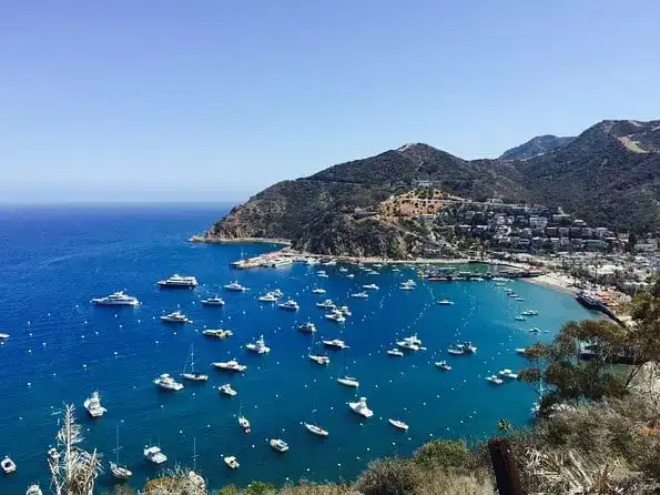 Excursion d'une journée sur l'île Catalina