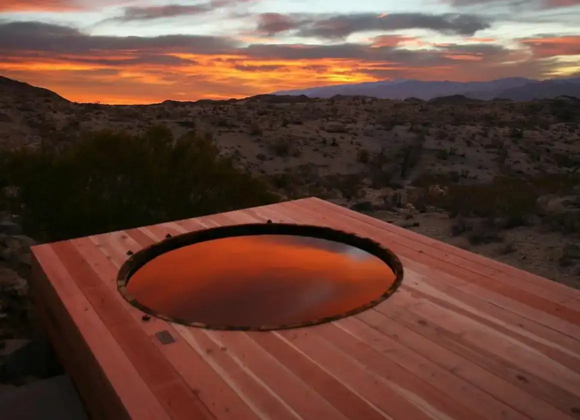 Excursion d'une journée au parc national de Joshua Tree