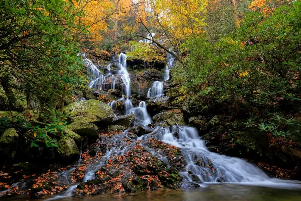 Bộ sưu tập chữ ký của khách sạn Grand Bohemian Asheville