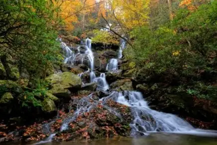 Trung tâm thành phố Asheville thắp sáng vào ban đêm
