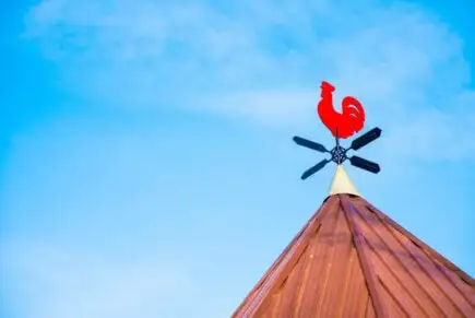 Ngôi nhà nhỏ duyên dáng nhìn ra trung tâm thành phố Asheville