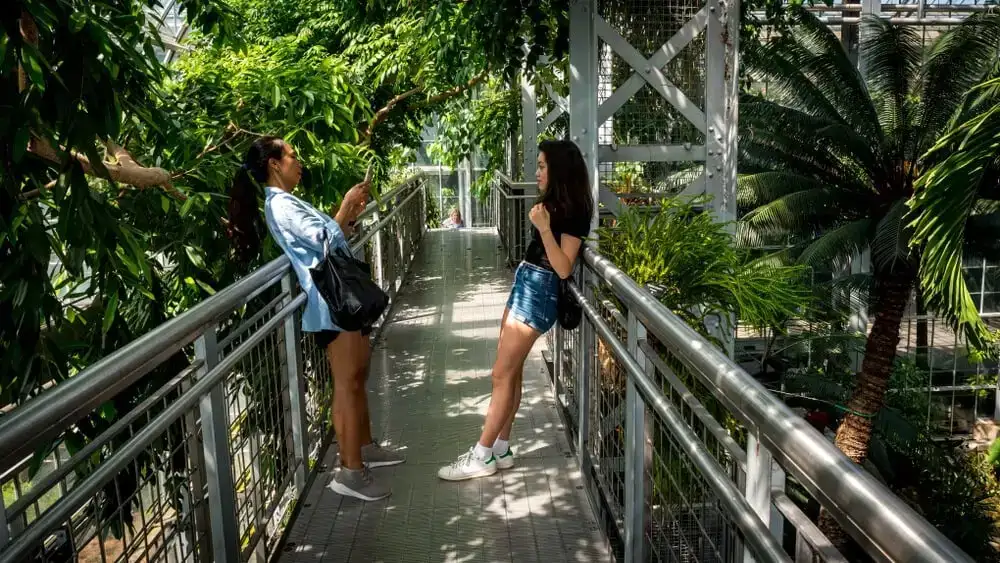 Visitez les jardins botaniques enchanteurs de la ville