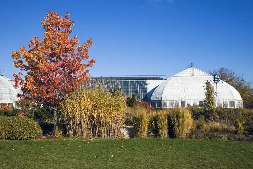 Musée national d'art mexicain, Chicago