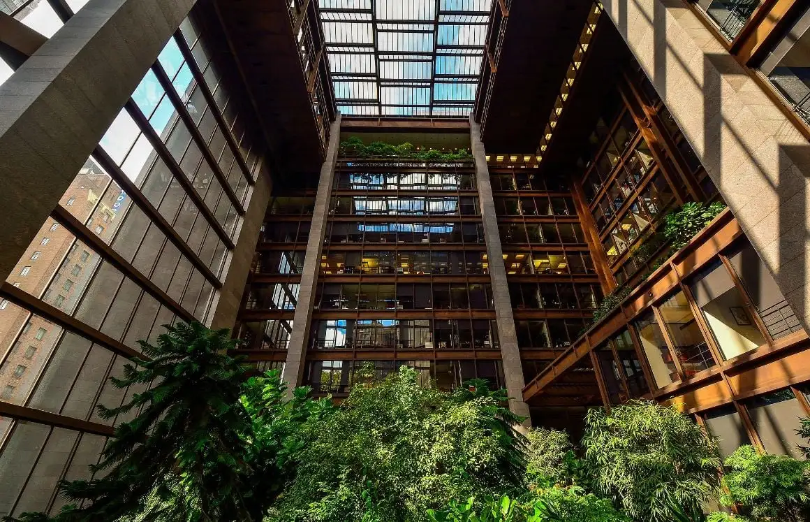 Floresta tropical escondida em Nova York