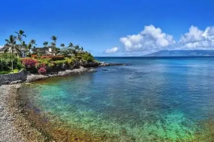 Hakuna Matata Pansiyon Lahaina