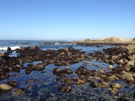 Pacific Grove, Monterey