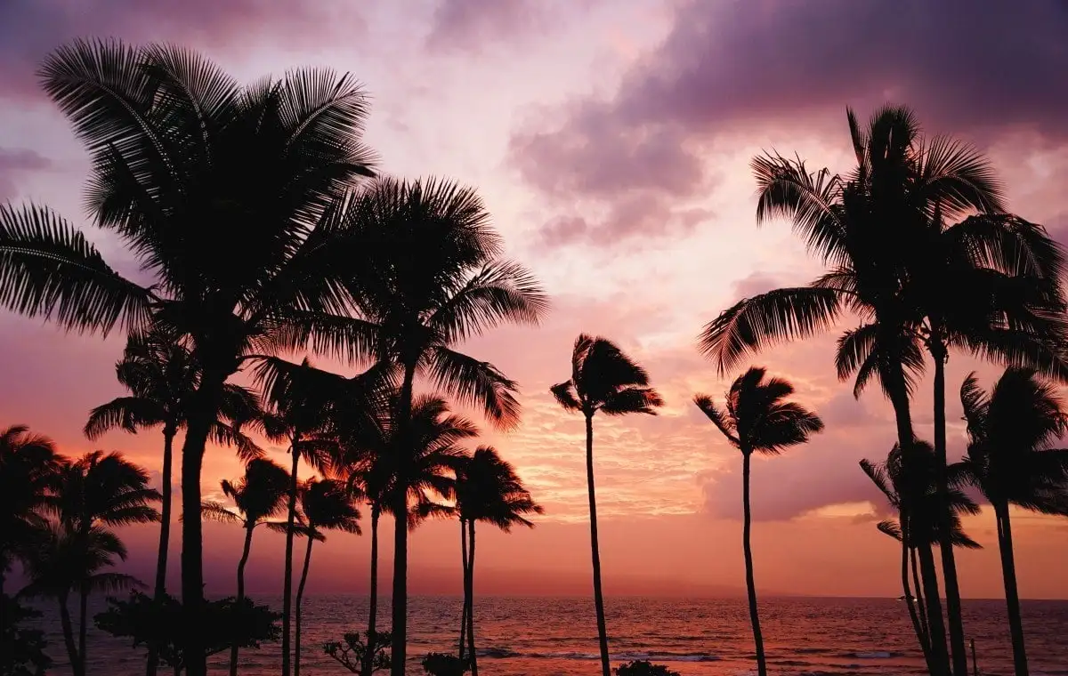 randonnée à Hawaï