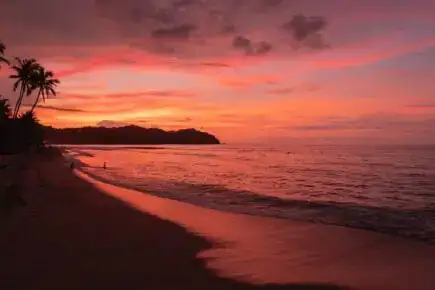 Platja de Syulita al capvespre envoltada de palmeres amb gent asseguda al llarg de la costa de sorra
