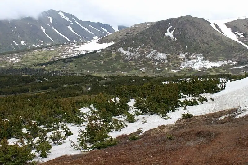 Szlak Narodowy Iditarod