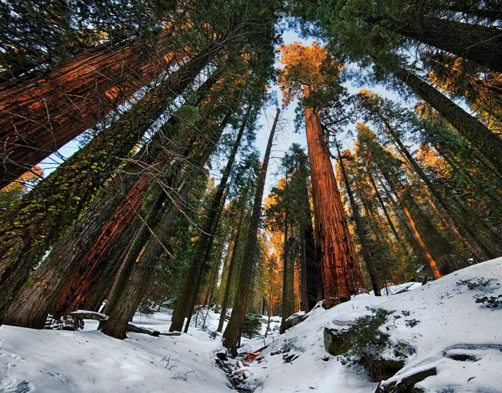 meilleurs parcs nationaux aux États-Unis