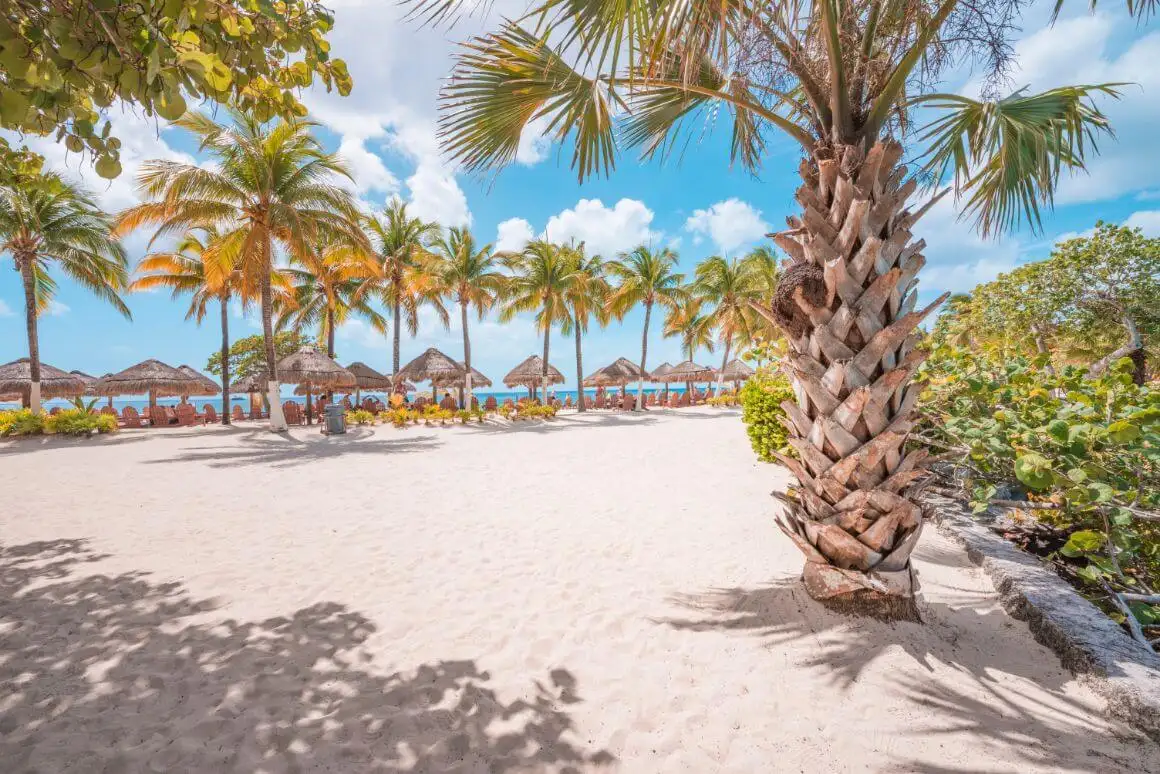 Plage de Cozumel au Mexique