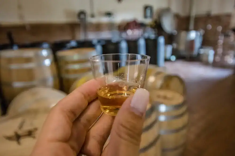 尼尔森斯绿荆棘酿酒厂之旅