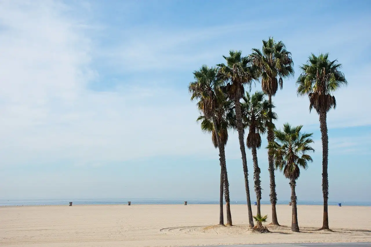Plage de Santa Monica, Los Angeles, Californie