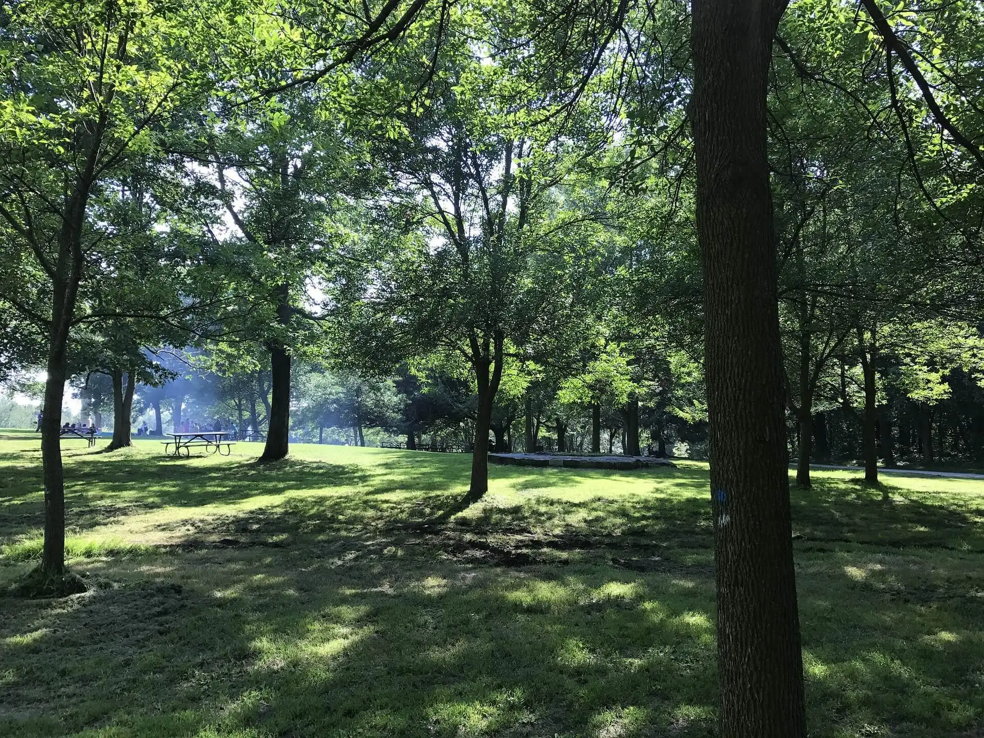 蒙特利尔皇家山公园