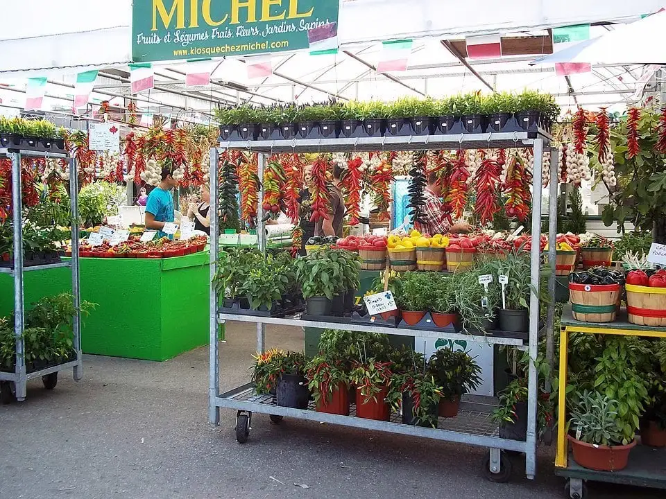 蒙特利尔 Jean Talon 市场