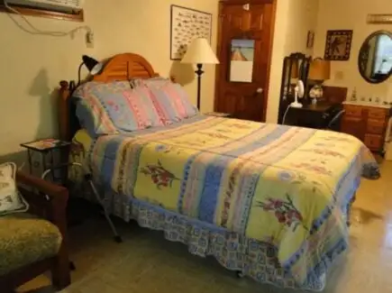Quarto Selva Wilmingtons