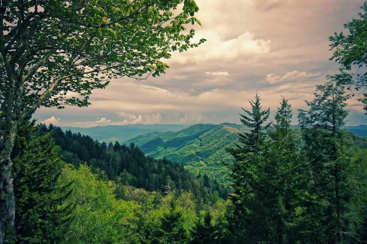 Great Smoky Mountains Caroline du Nord