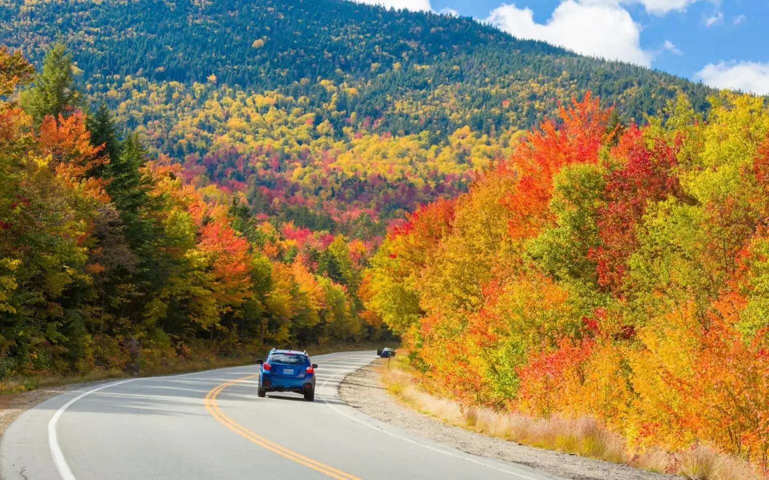 collecte de feuillage d'automne en Nouvelle-Angleterre