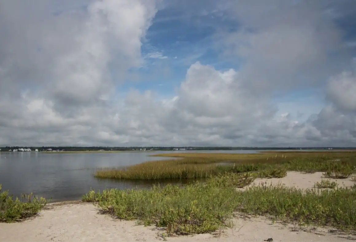 Creek Park Preserve Wilmington