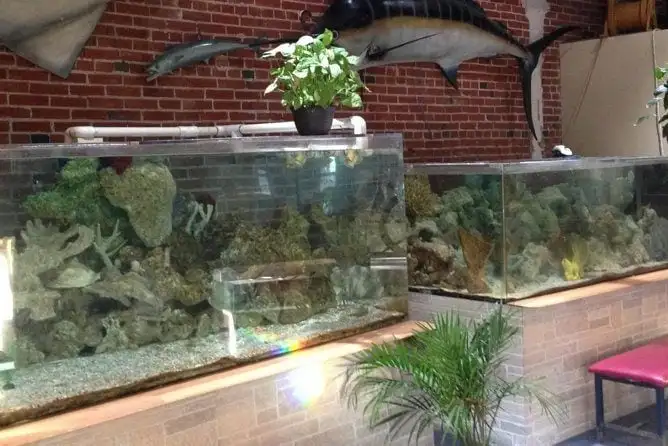 Aquarium mondial, Saint-Louis