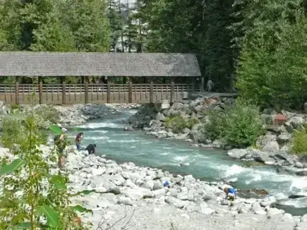 Un sanctuaire niché dans les pins en pleine action