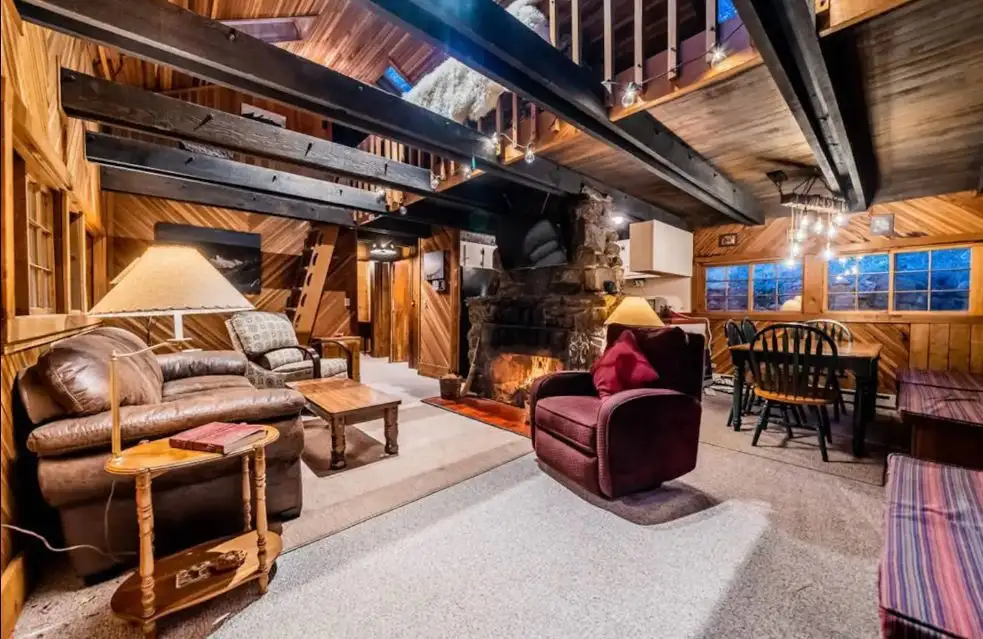 Cabanes de l'ours brun du Colorado