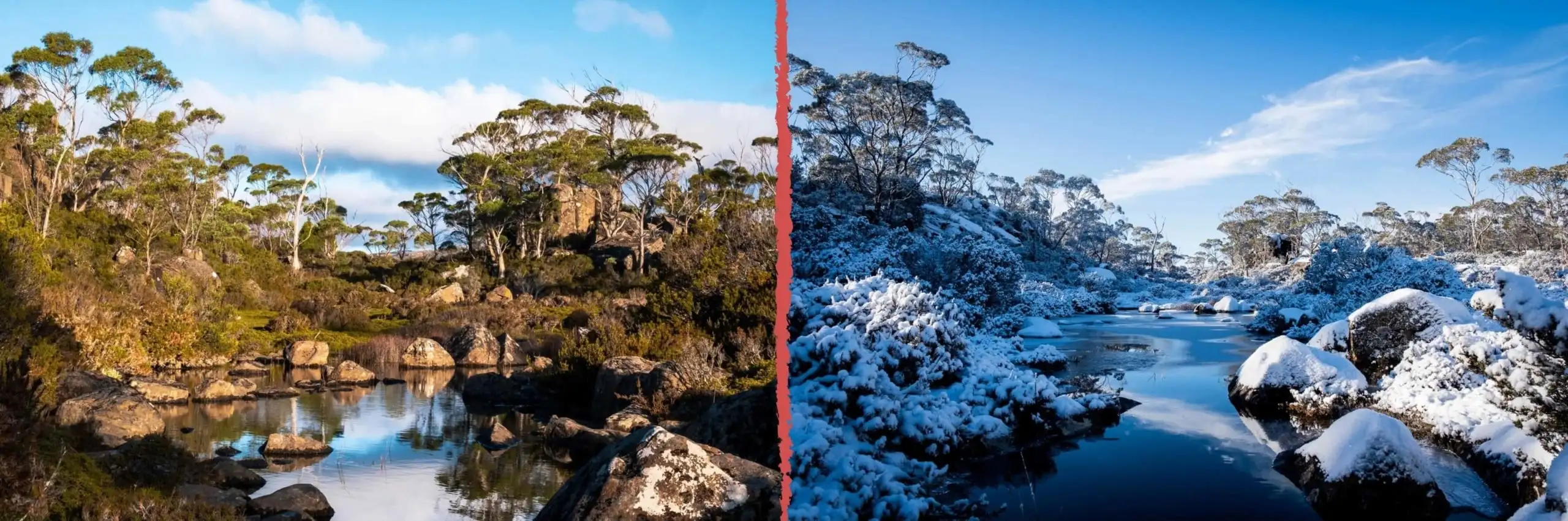 Une photo comparative côte à côte des saisons d'été et d'hiver dans le parc national des Murs de Jérusalem
