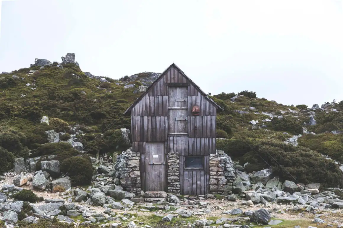 Un diable de Tasmanie - une chose célèbre et rare à voir en Tasmanie