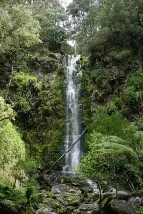 Lorne