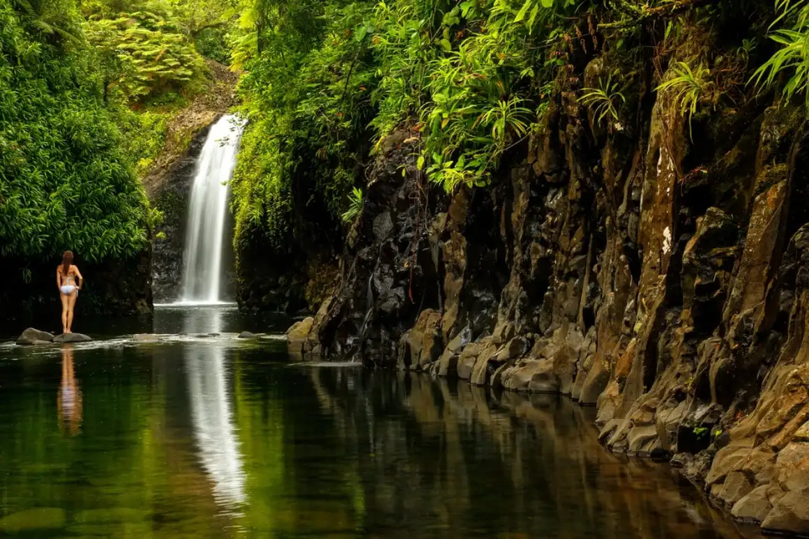 jungle vandfald bp fiji