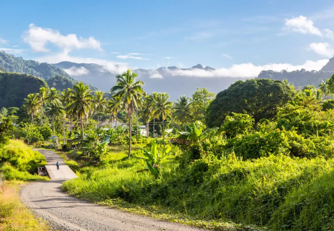 ovalau landsby palmer bp fiji