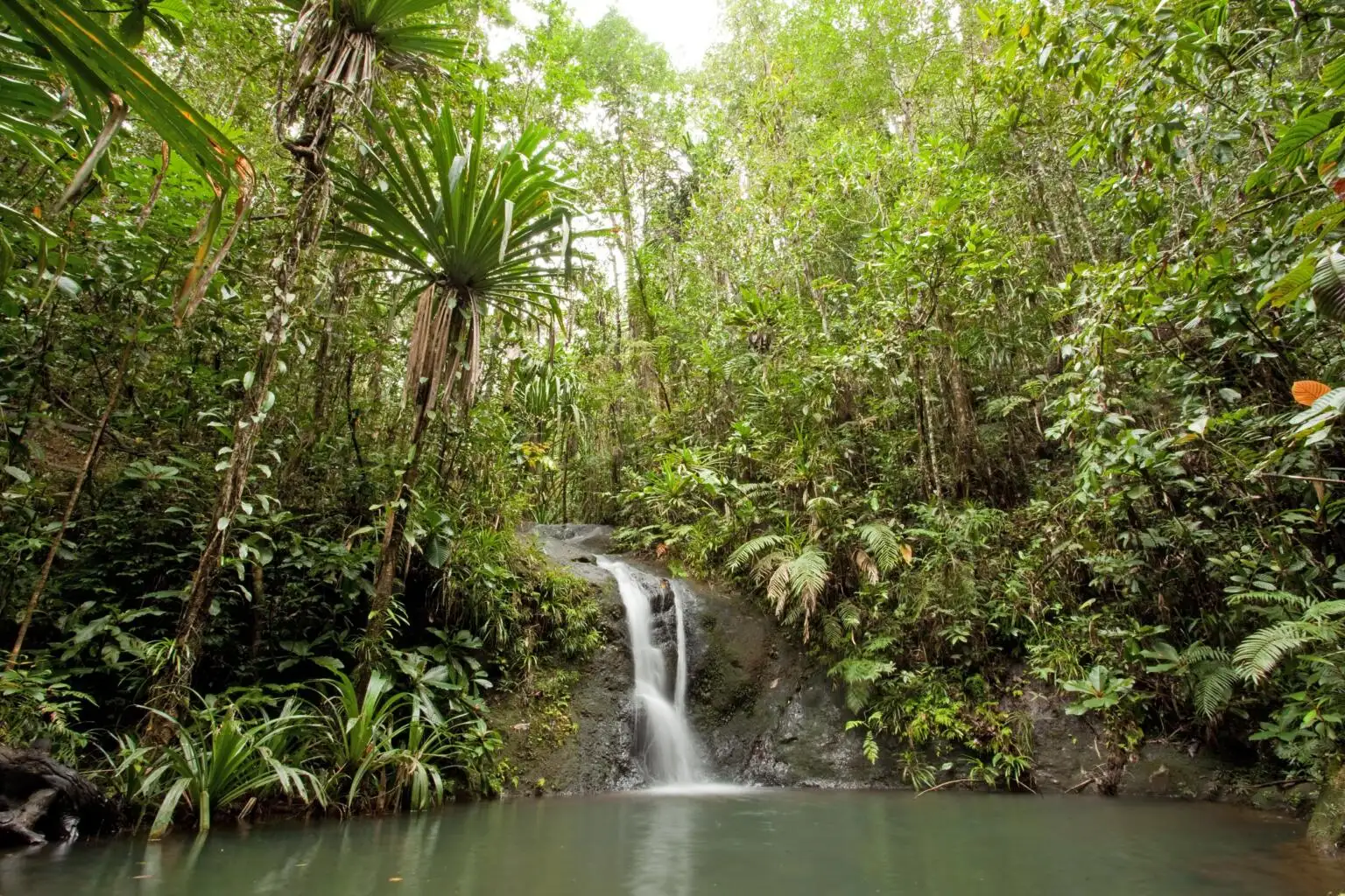 Parcul Forestier Colo-I-Suva