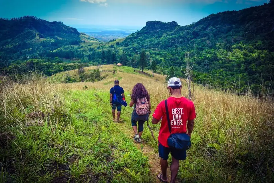 Fiji pe jos: tur în grup mic cu ghid local