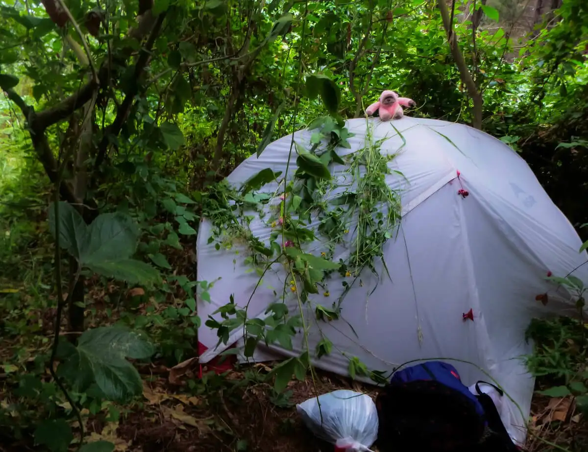 Freedom camping em um local DOC na Nova Zelândia