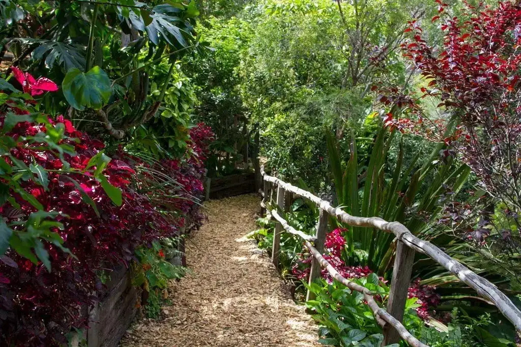 Inner West-Bereich in Sydney