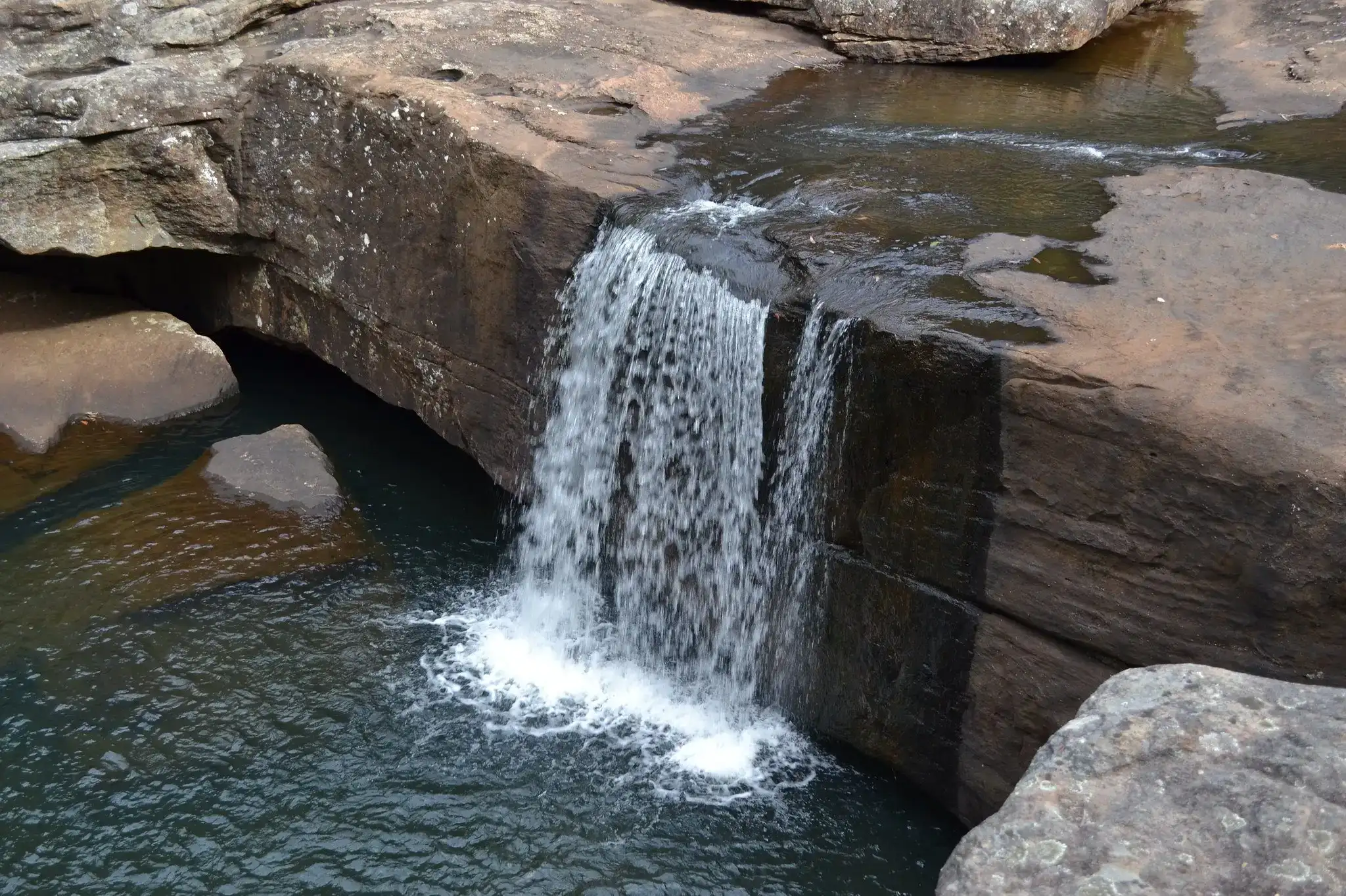 Dharawal-Nationalpark – eine wunderschöne Naturattraktion in Sydney