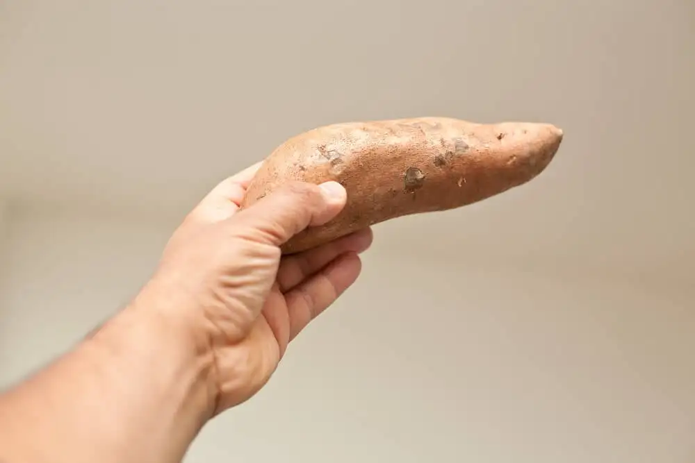 Zoete aardappel - hoofdvoedsel op Tahiti
