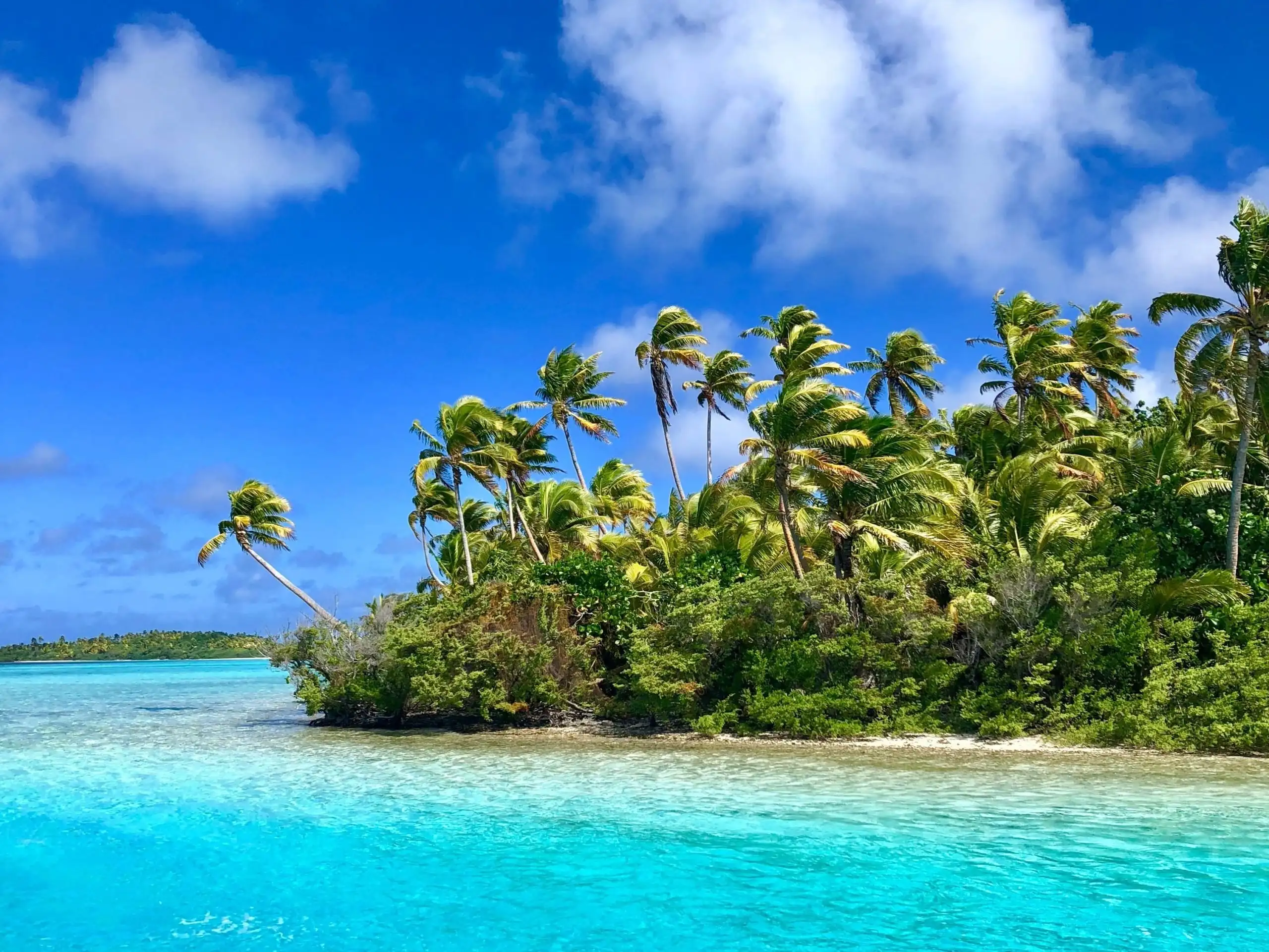 Lyseblåt hav, træer og himmel i Rarotonga, kokkeøerne