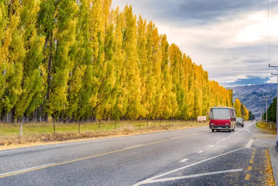 transportul în Noua Zeelandă este scump