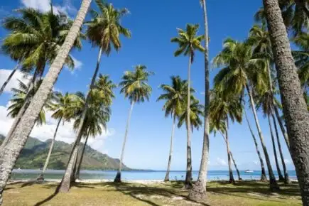Manava Beach Resort & Spa Moorea