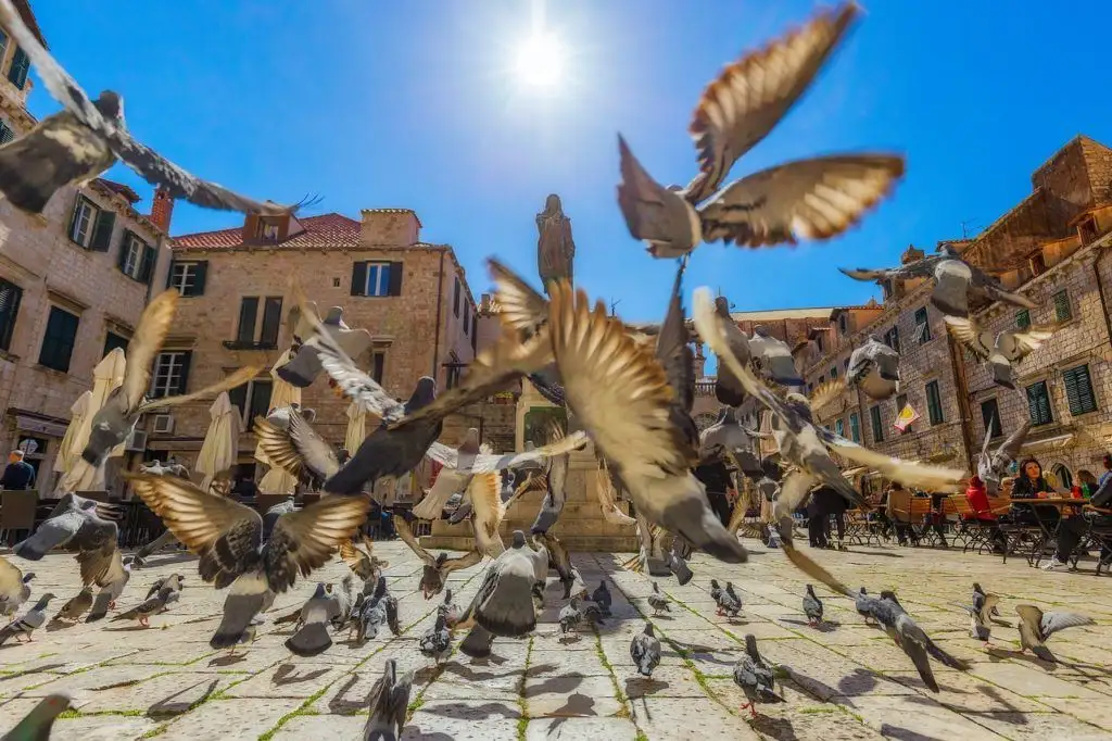 Itinéraire Dubrovnik