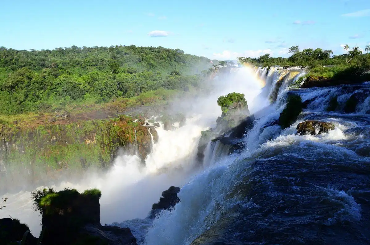Um pinguim de magalhães da Península Valdés argentina