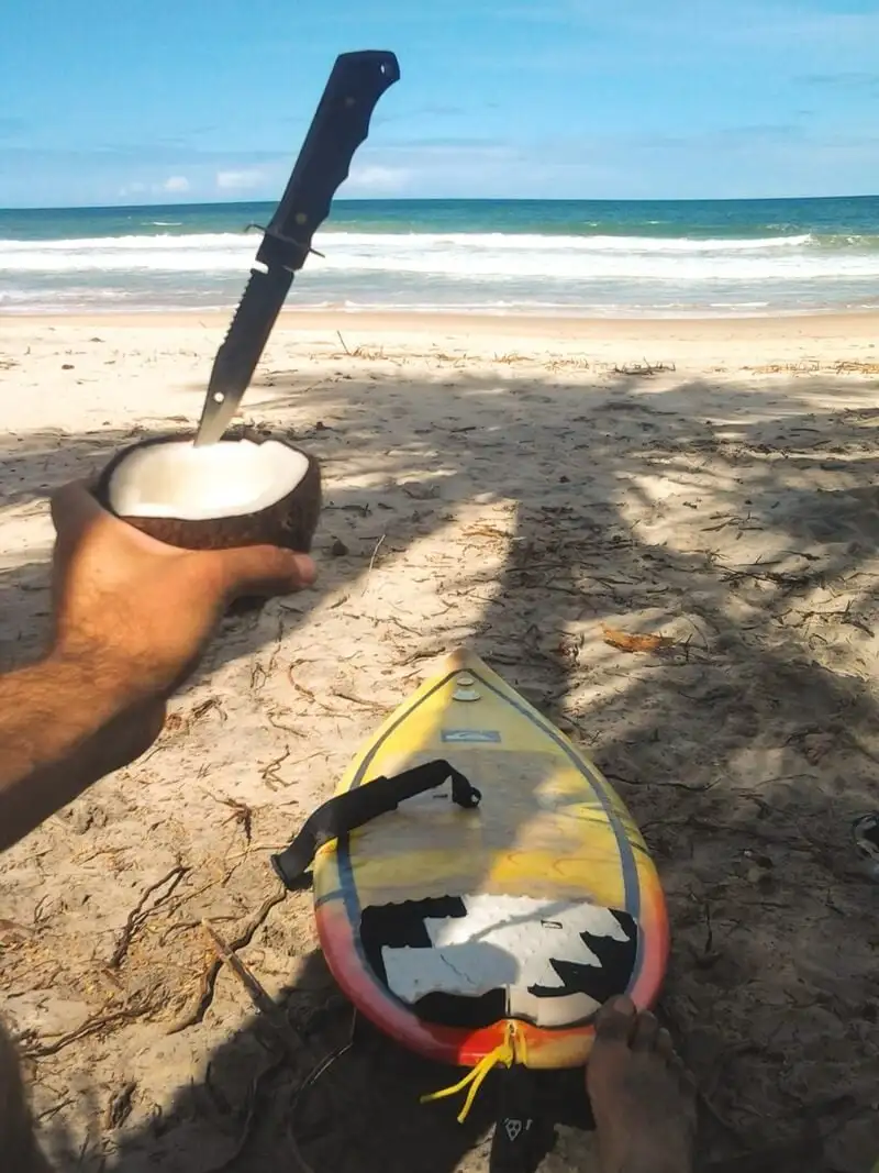Planche de surf et noix de coco sur la plage de la côte équatorienne.