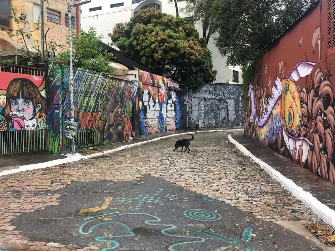 Fargerik gatekunst i en brosteinsbelagt bakgate med en hundeovergang