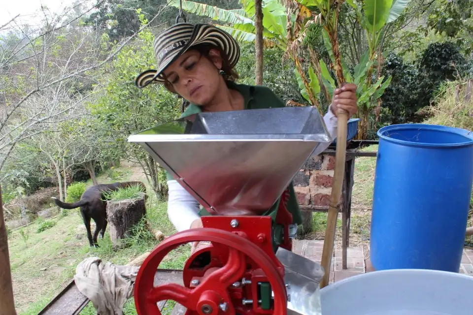 Choachi para degustação de café