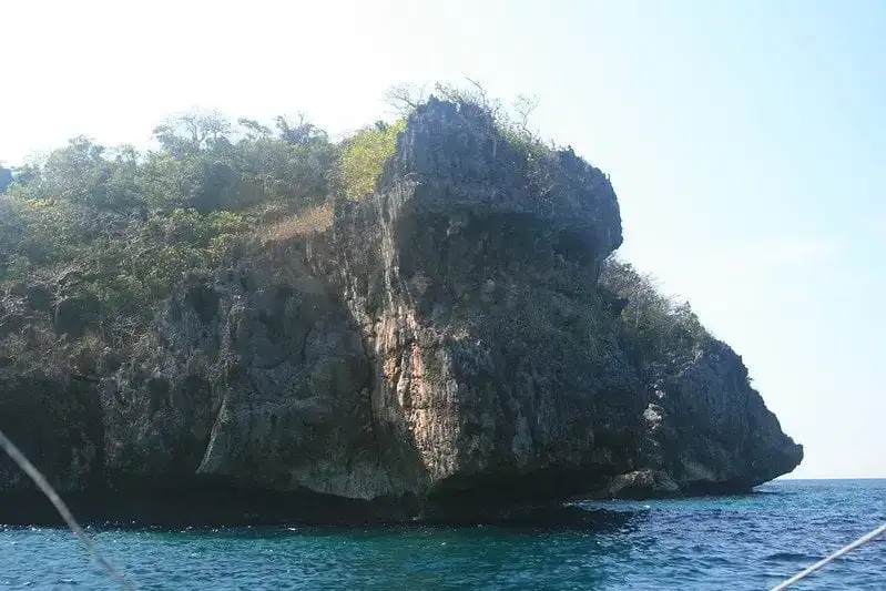 Vieraile Bat Cavesissa