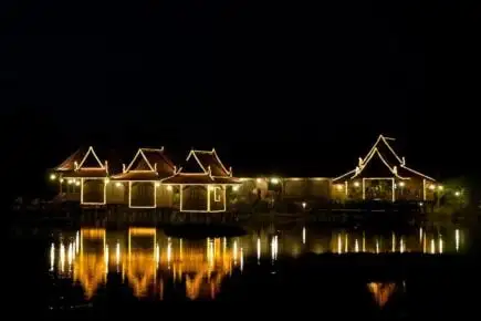 Singe fou, Siem Reap