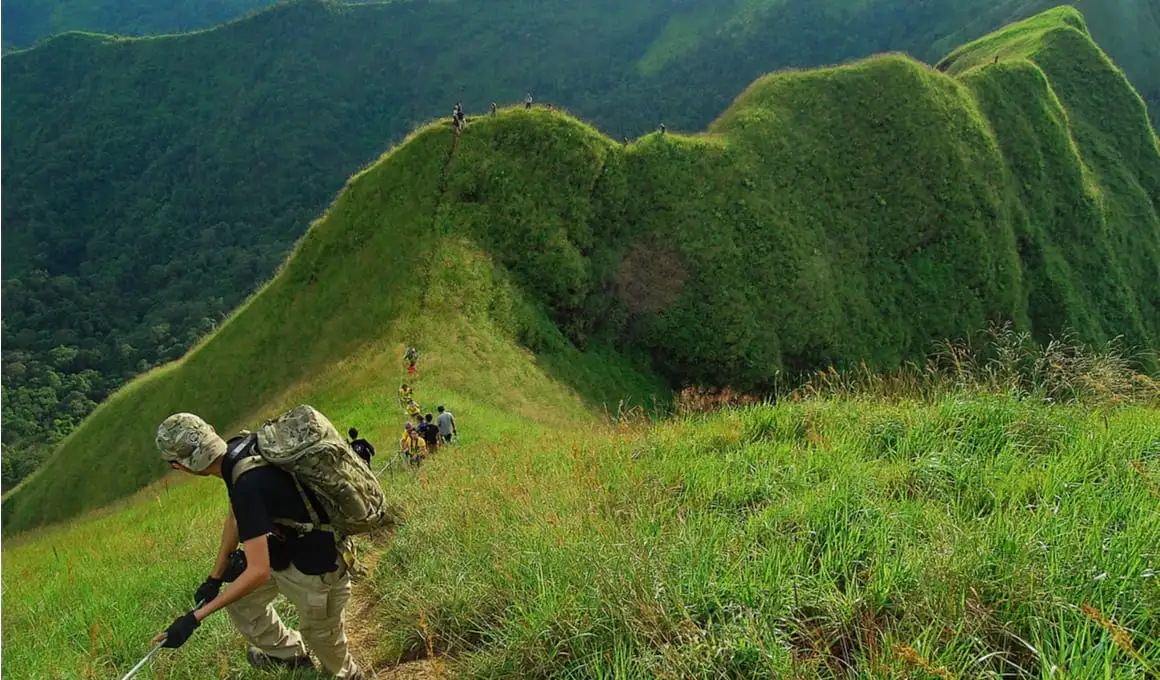 Cestas de agricultores em um campo de repolhos nas montanhas perto de Chiang Mai, Tailândia