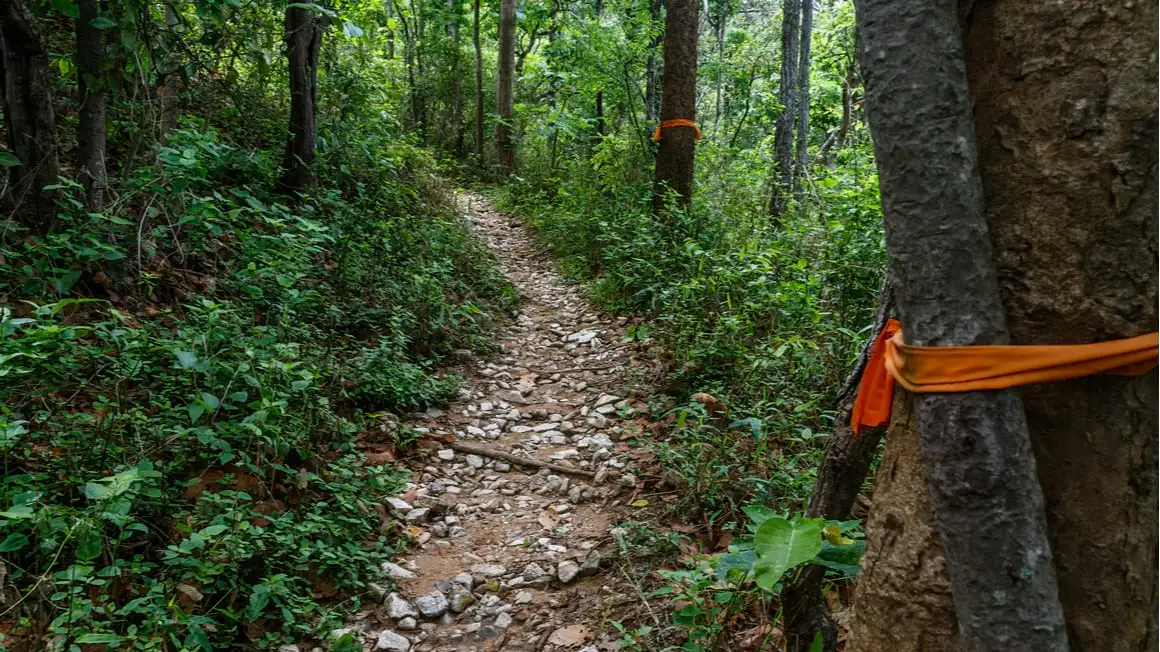 Doi Suthep Monk Trail, a melhor caminhada de um dia na Tailândia