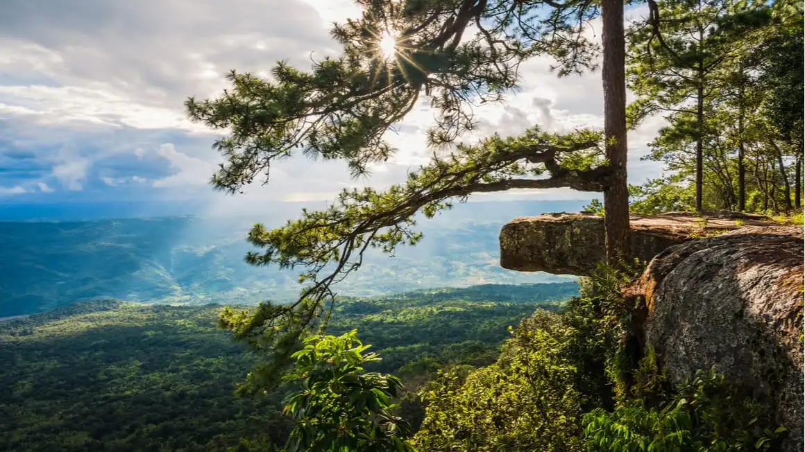 Phu Kradueng, a melhor caminhada de vários dias na Tailândia